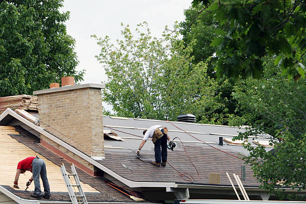 Best Roof Moss and Algae Removal  in Byng, OK